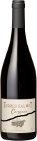Domaine Terres Falmet: Carignan